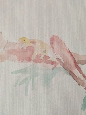 IMG_20210525_090026 2